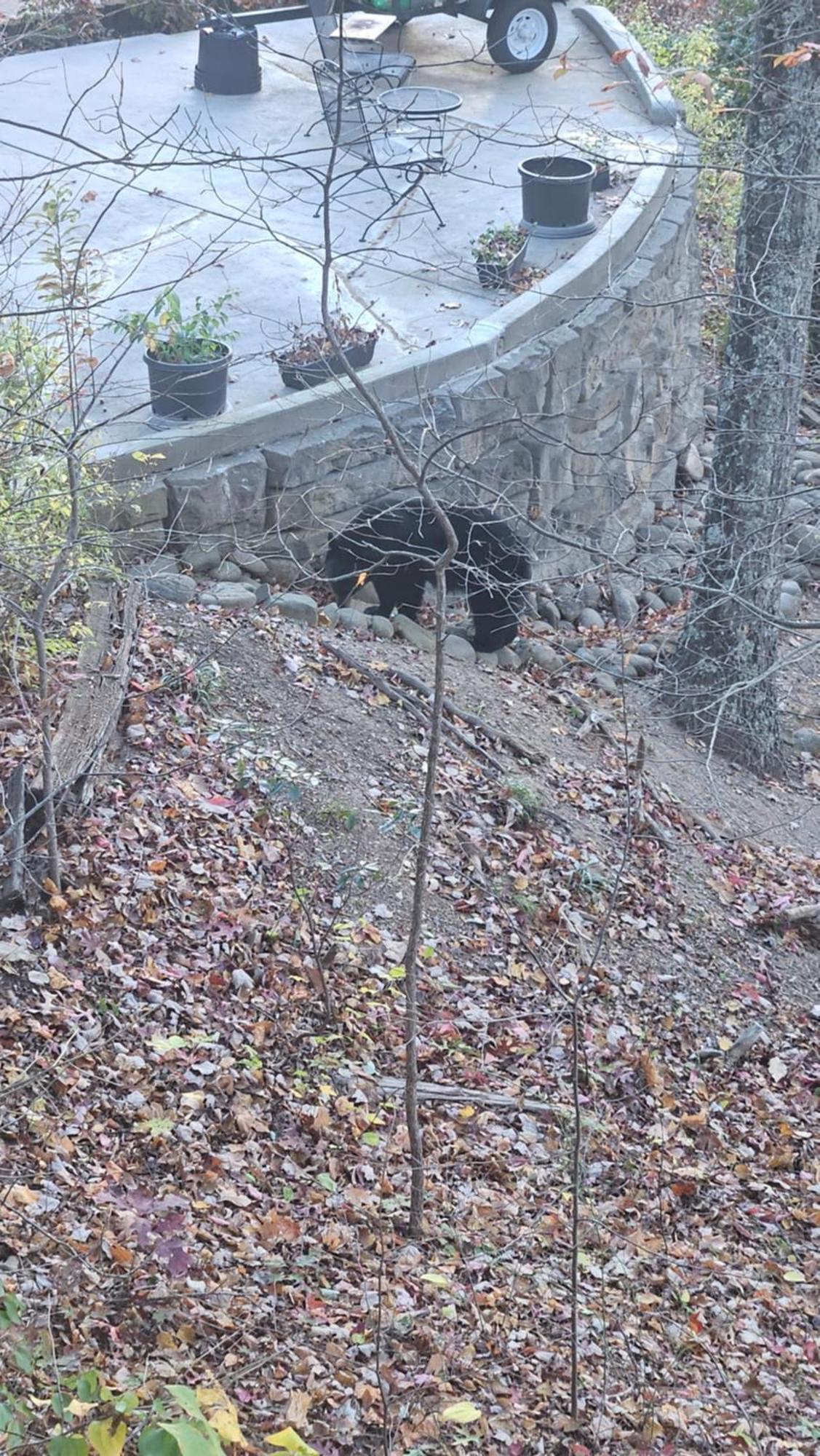Southern Oak At Chalet Village - 5 Minutes From Gatlinburg And National Park Esterno foto